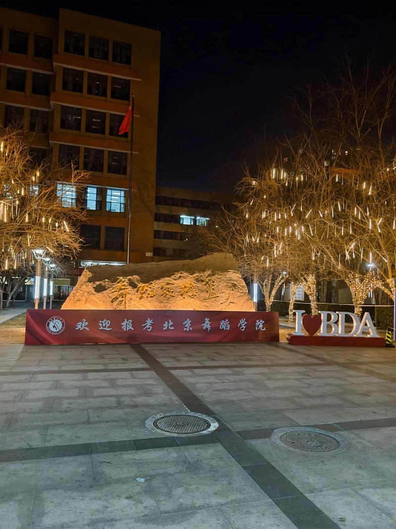 北京舞蹈学院2025分数线何时公布？-第3张图片-泰美艺术培训