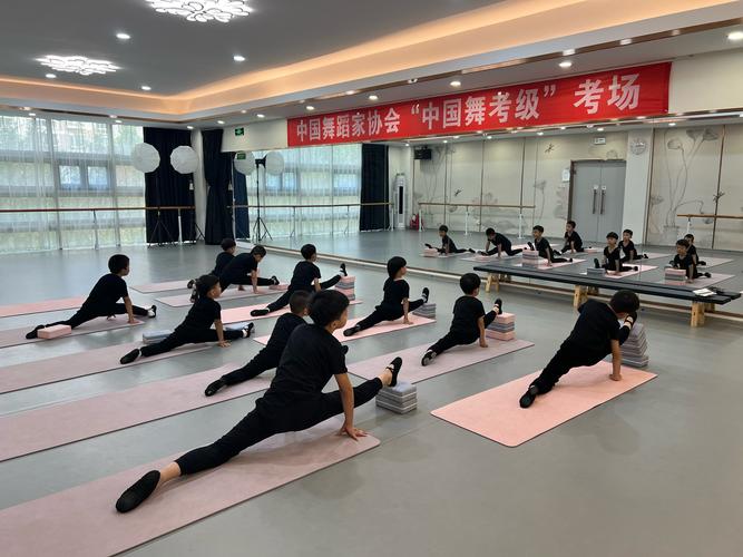 肇庆学院舞蹈学专业值得读吗？就业前景如何？-第2张图片-泰美艺术培训