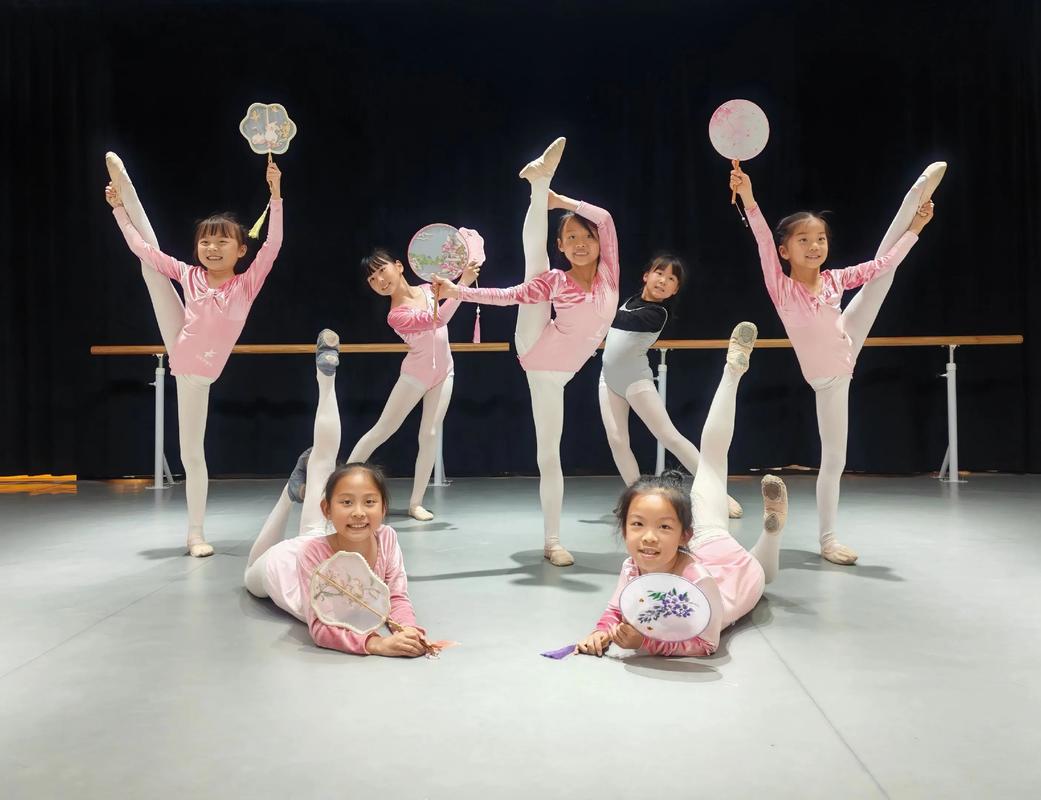 音乐表演与舞蹈学，核心差异与就业方向如何？-第1张图片-泰美艺术培训