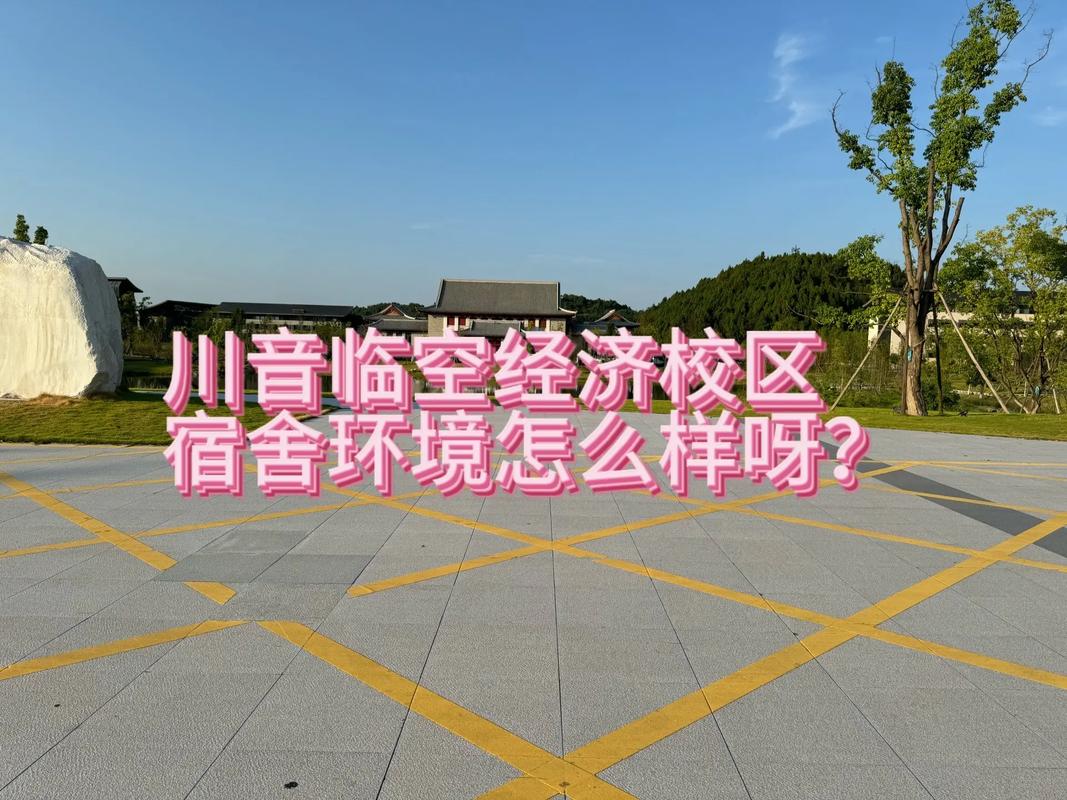 四川音乐学院新都校区教务系统怎么用？-第2张图片-泰美艺术培训