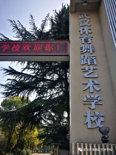 武汉体育舞蹈艺术学校招生有何条件与流程？-第3张图片-泰美艺术培训