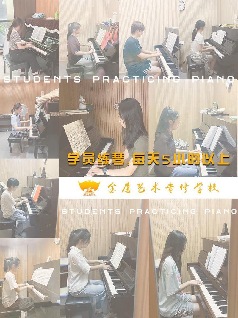 学音乐艺考后，工作方向真的窄吗？-第3张图片-泰美艺术培训