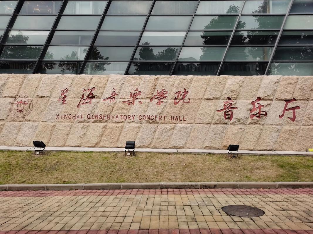 2025星海音乐学院分数线是多少？-第3张图片-泰美艺术培训