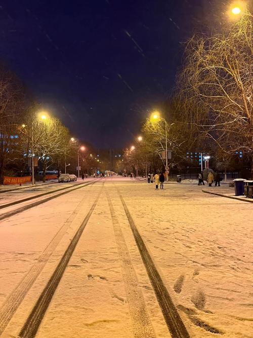 北华大学舞蹈系是几本？-第1张图片-泰美艺术培训