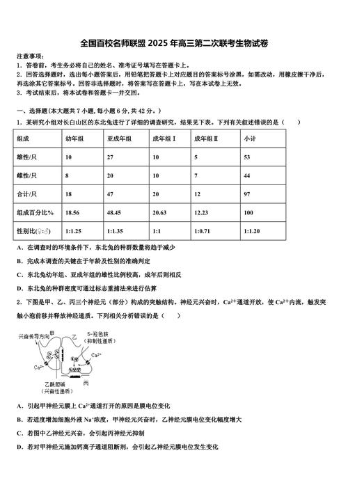 2025百校联考二word-第3张图片-泰美艺术培训