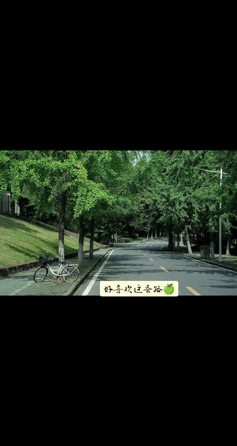 湖北理工学院音乐系实力如何？就业前景怎么样？-第3张图片-泰美艺术培训