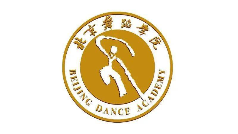 舞蹈校考U盘还是光盘更可靠？-第3张图片-泰美艺术培训