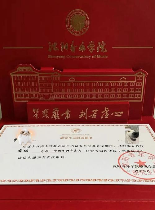 2025沈阳音乐学院录取-第2张图片-泰美艺术培训