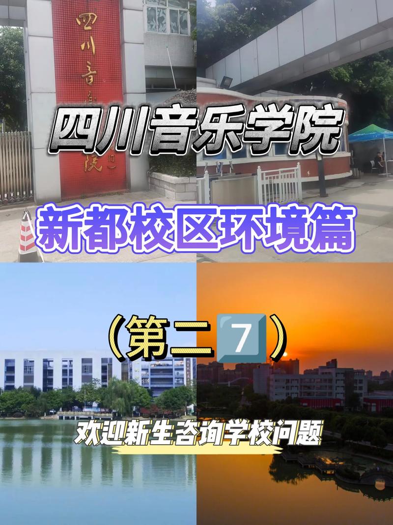 四川音乐学院教务系统官网入口在哪？-第3张图片-泰美艺术培训