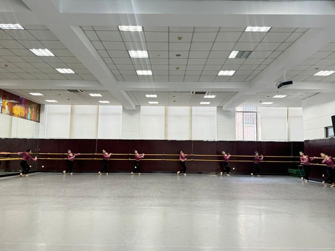 绵阳师范学院舞蹈系有何特色或优势？-第2张图片-泰美艺术培训