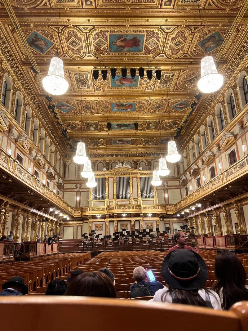 维也纳音乐和戏剧艺术学院有何独特魅力？-第3张图片-泰美艺术培训