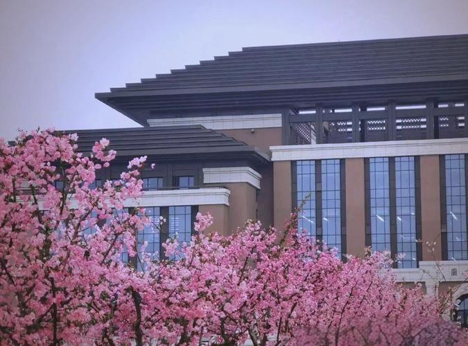 江苏第二师范学院音乐学院有何特色与优势？-第3张图片-泰美艺术培训