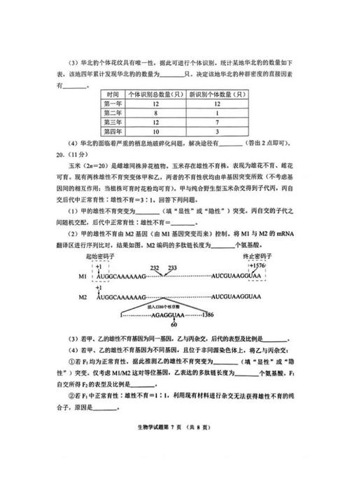 2025湖北八校联考生物-第3张图片-泰美艺术培训