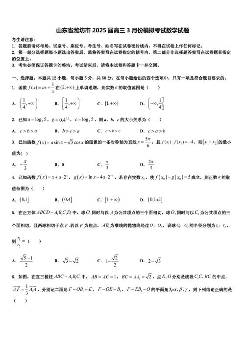 2025潍坊高三联考数学-第1张图片-泰美艺术培训