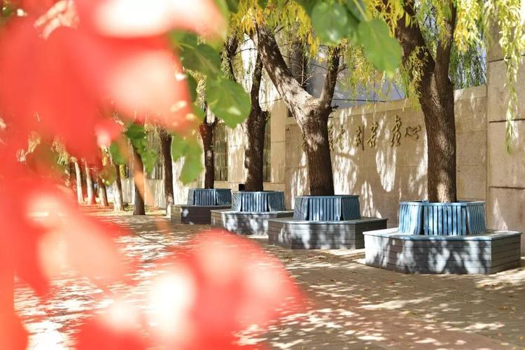 鲁迅美院附中，美术生的摇篮还是起点？-第3张图片-泰美艺术培训