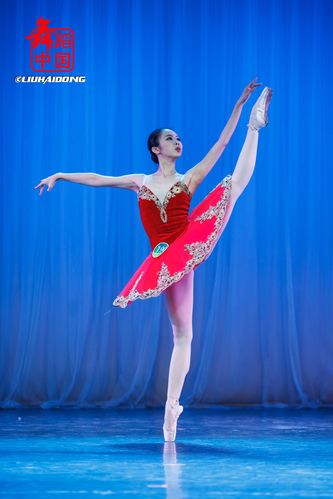 沈阳音乐学院音乐剧舞蹈有何特色？-第2张图片-泰美艺术培训