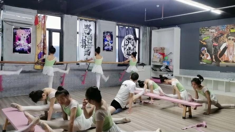 滨州学院开舞蹈艺术课吗？-第2张图片-泰美艺术培训