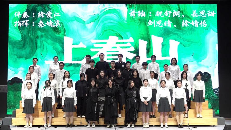 山师山大音乐表演，选哪个更优？-第2张图片-泰美艺术培训