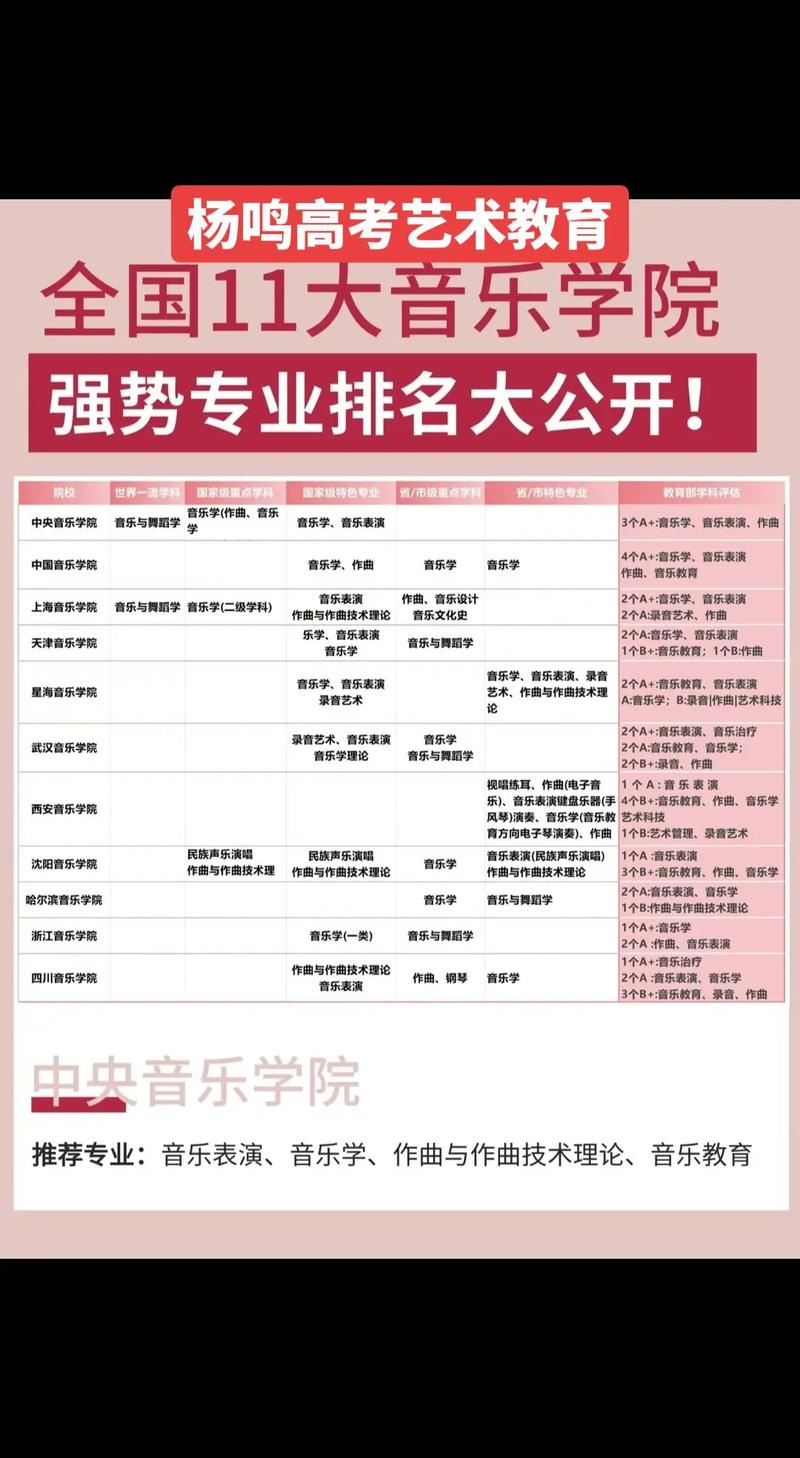 高考音乐专业有哪些？-第1张图片-泰美艺术培训
