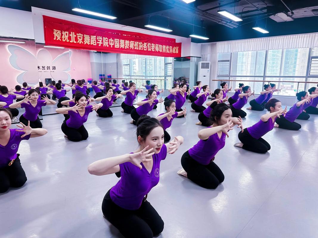 国家专利舞蹈训练学师资有何独特优势？-第2张图片-泰美艺术培训