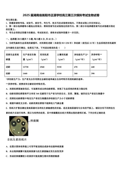 衡阳市第三次联考2025难度如何？-第1张图片-泰美艺术培训