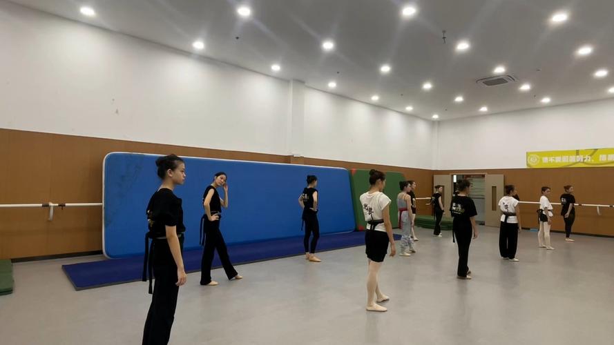 舞蹈生毕业能从事哪些职业?-第1张图片-泰美艺术培训 舞蹈生毕业能从事哪些职业?-第1张图片-泰美艺术培训