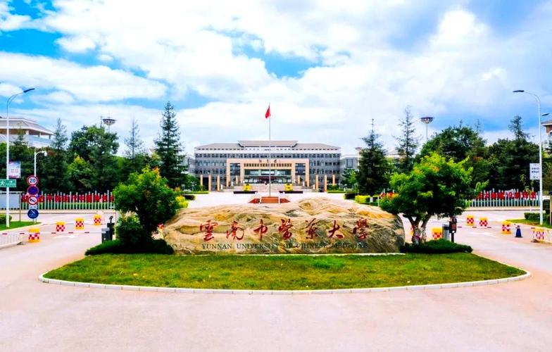 云南有哪些音乐教育专升本学校？-第3张图片-泰美艺术培训