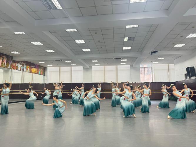 辽宁大学舞蹈专业实力如何？就业前景怎么样？-第3张图片-泰美艺术培训