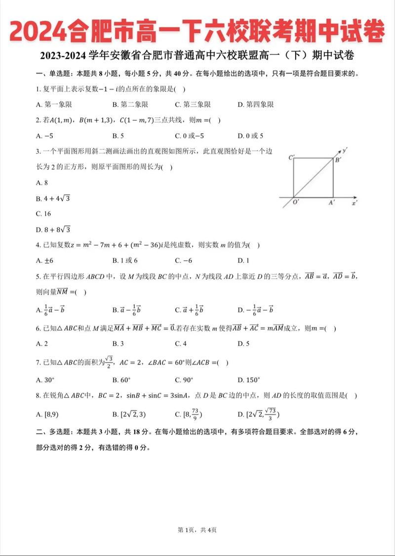2025合肥六校联考数学-第2张图片-泰美艺术培训