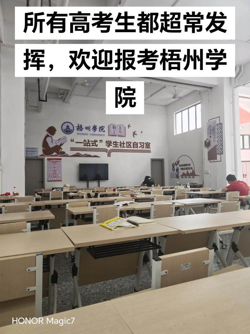 梧州学院音乐类招生有哪些条件和要求？-第1张图片-泰美艺术培训