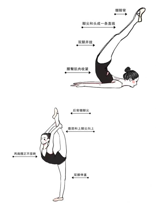 舞蹈艺考如何融基本功、技巧与音乐？-第3张图片-泰美艺术培训