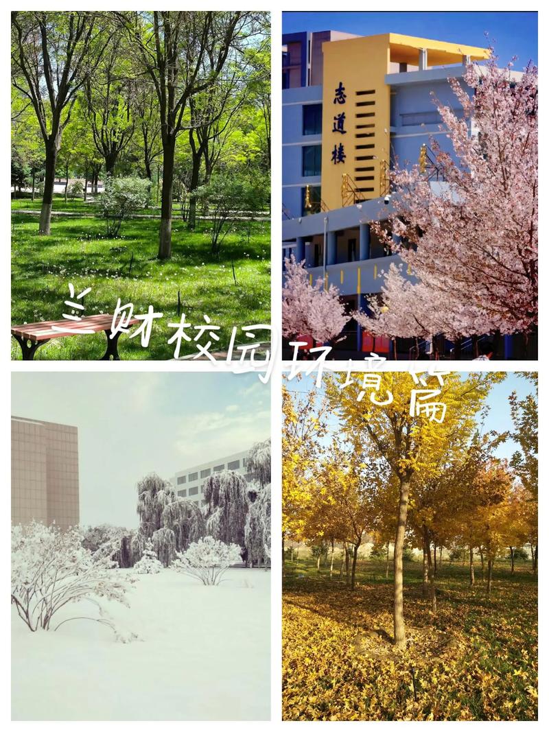 兰州财经大学美术专业实力如何？-第3张图片-泰美艺术培训