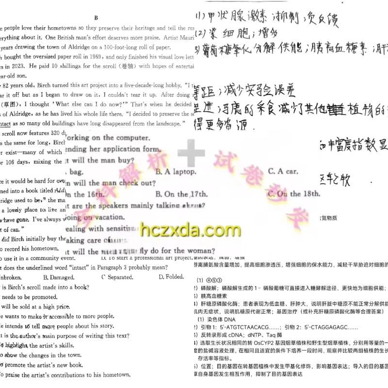 山东齐鲁名校联考2025有何新变化？-第2张图片-泰美艺术培训