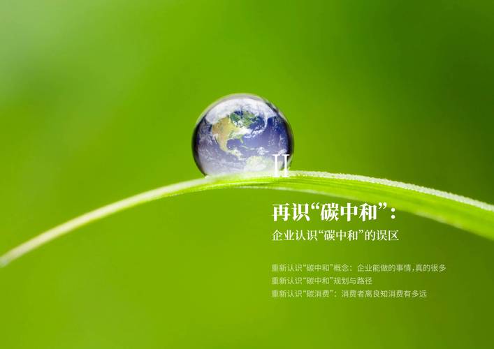 浙江绿色联盟联考2025考什么？-第1张图片-泰美艺术培训