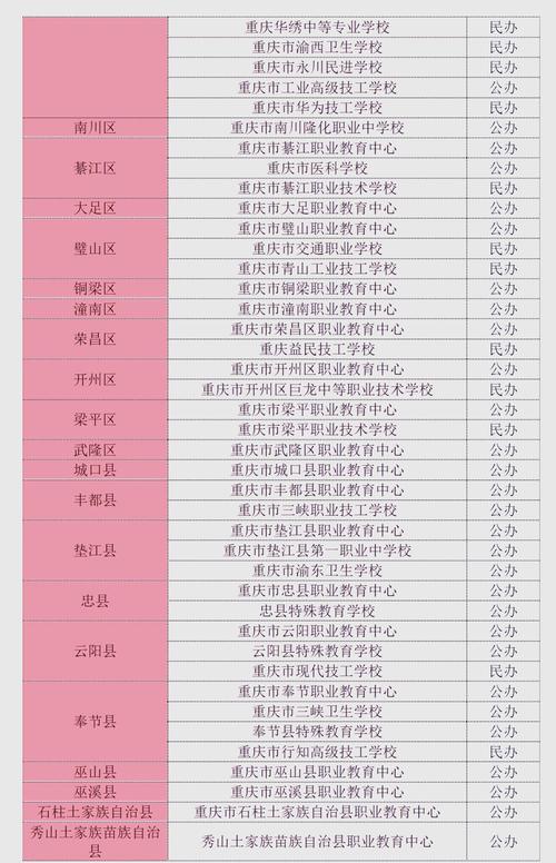 重庆哪些职校开设有音乐专业？-第3张图片-泰美艺术培训