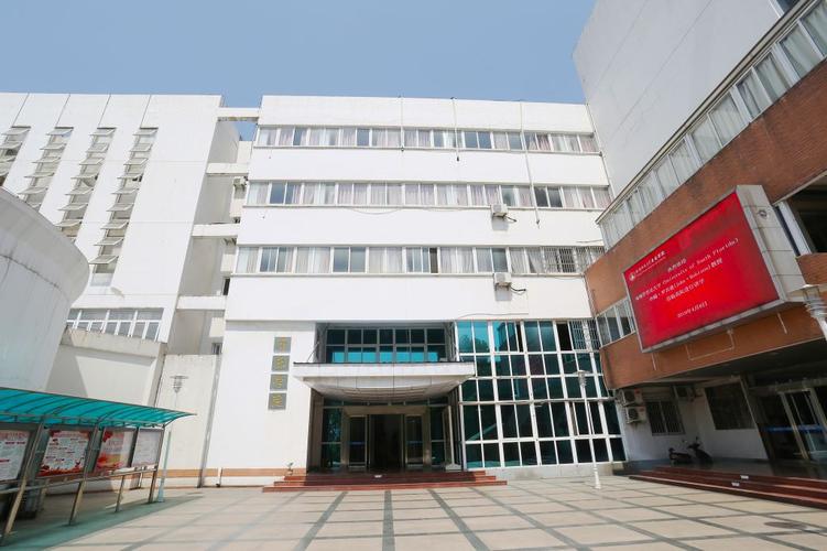 安徽有哪些音乐类专科学校？-第2张图片-泰美艺术培训