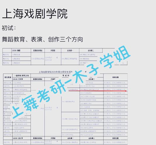 上海戏剧舞蹈学院录取线是多少？-第3张图片-泰美艺术培训