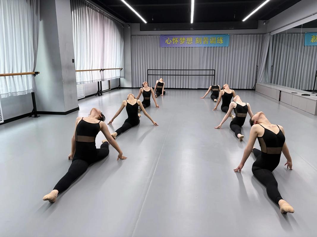 舞蹈艺考生难道真的会有人走不成吗？-第2张图片-泰美艺术培训
