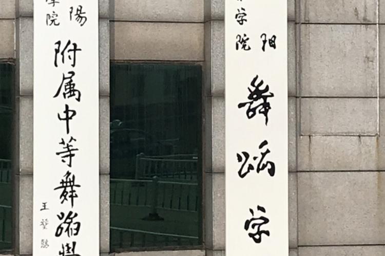 沈阳舞蹈学院毕业能做什么？-第1张图片-泰美艺术培训