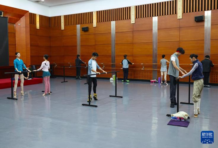 沈阳舞蹈学院毕业能做什么？-第3张图片-泰美艺术培训