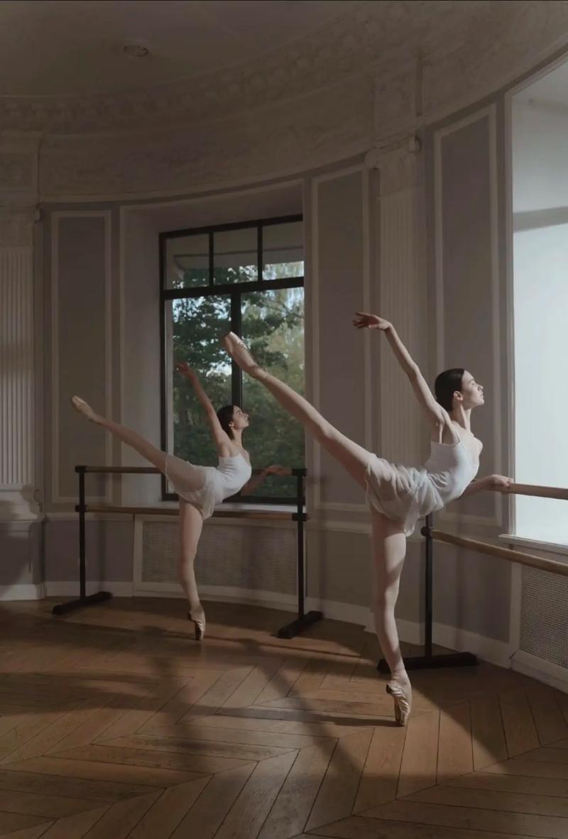 沈阳舞蹈学院毕业能做什么？-第2张图片-泰美艺术培训