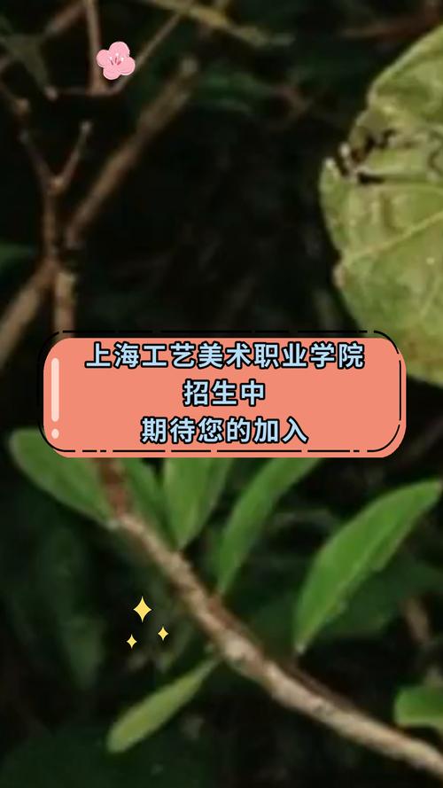 上海工艺美术职业学院校园网有什么特色？-第2张图片-泰美艺术培训