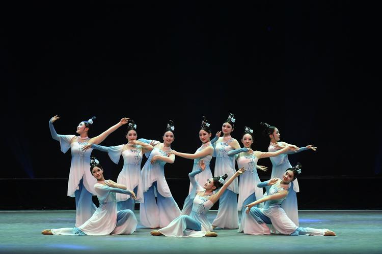 河北科技学院舞蹈表演者有何独特魅力？-第1张图片-泰美艺术培训