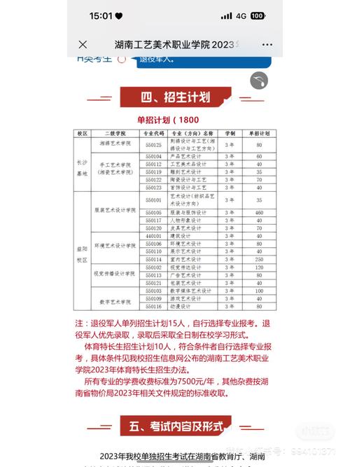 湖南工艺美术职业学院分数线多少？-第2张图片-泰美艺术培训