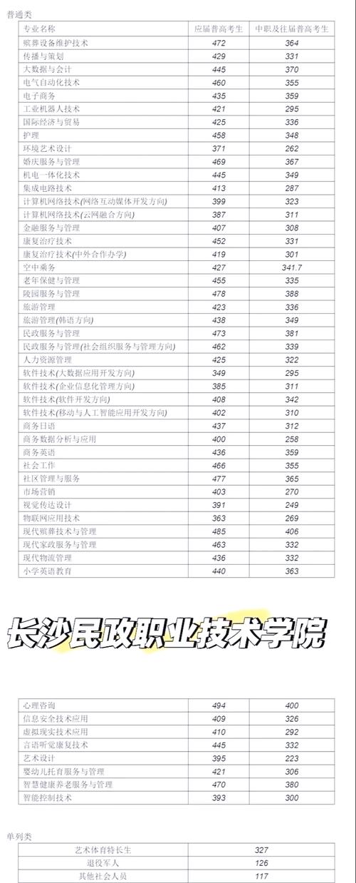 湖南工艺美术职业学院分数线多少？-第3张图片-泰美艺术培训