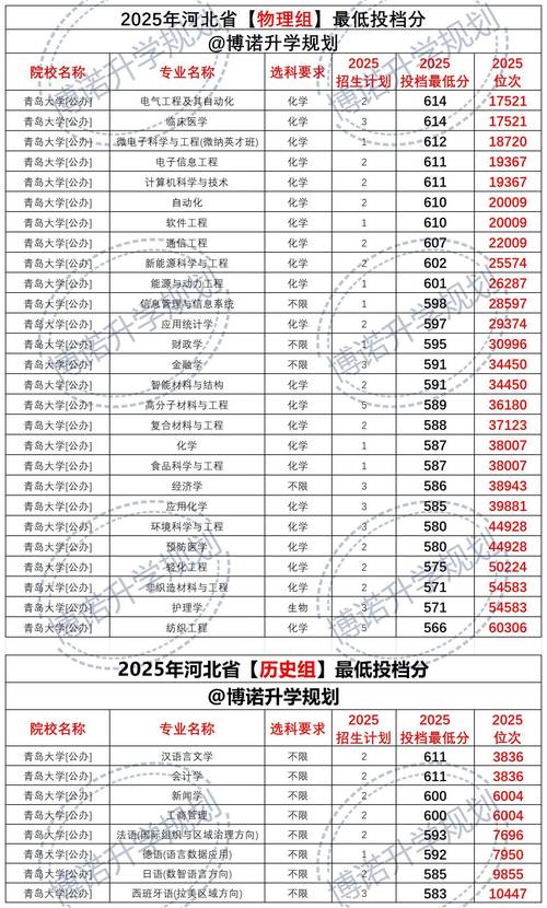 青岛大学2025美术分数线是多少？-第1张图片-泰美艺术培训