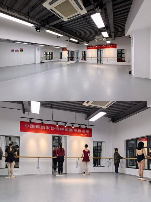 海口经济学院舞蹈学选修课学什么?-第3张图片-泰美艺术培训 海口经济学院舞蹈学选修课学什么?-第3张图片-泰美艺术培训