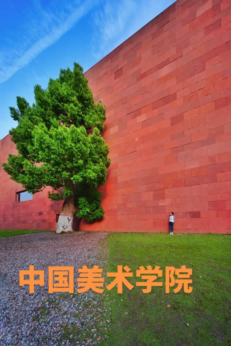 央美与国美，谁更胜一筹？-第3张图片-泰美艺术培训