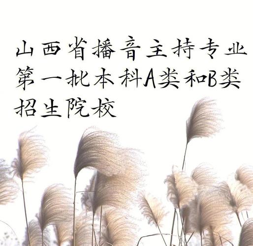 山西播音联考学校有哪些？-第2张图片-泰美艺术培训