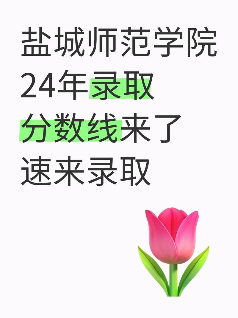 盐城师范学院美术录取分数线是多少？-第3张图片-泰美艺术培训